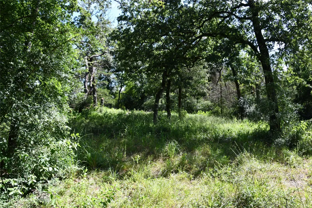 14 LCR 895 Jewett, TX 75846