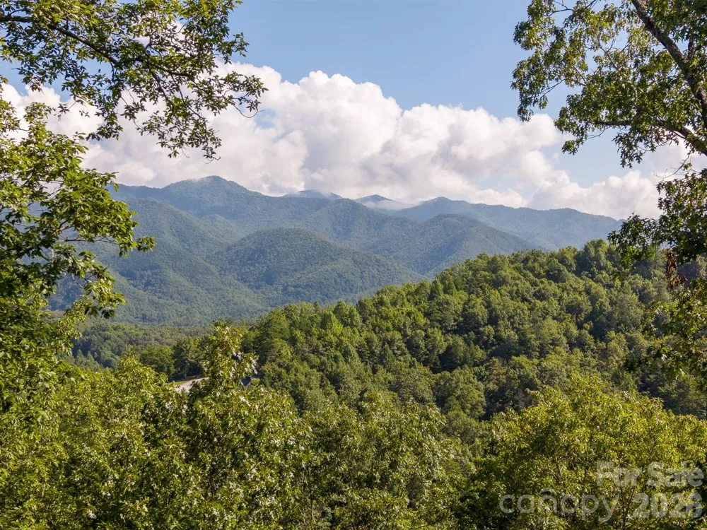 444 Look Out Point Bryson City, NC 28713
