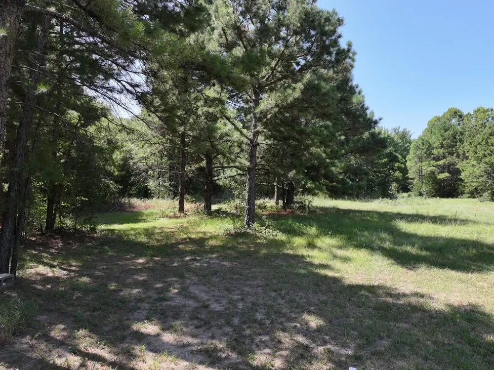 State Highway 154 W Big Sandy, TX 75755