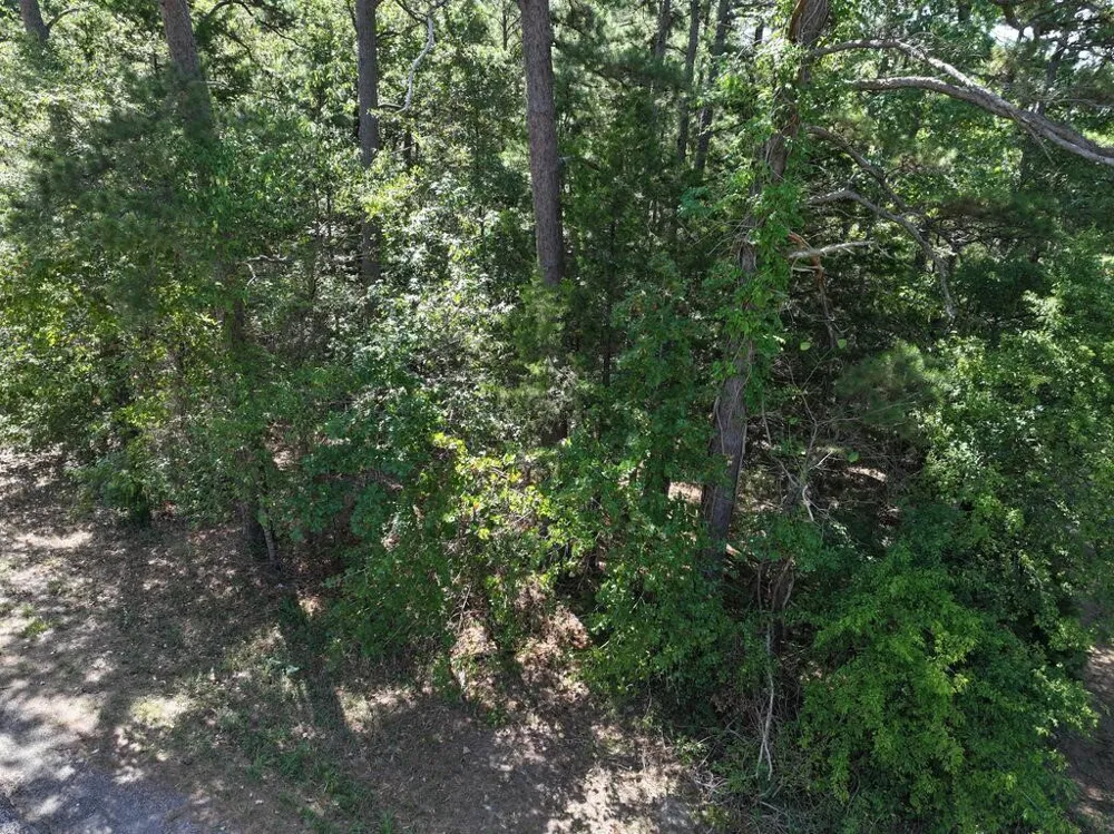 State Highway 154 W Big Sandy, TX 75755