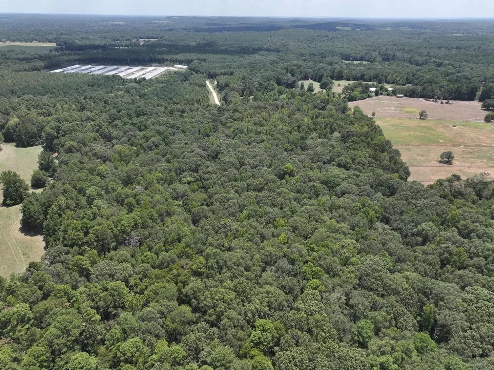 State Highway 154 W Big Sandy, TX 75755