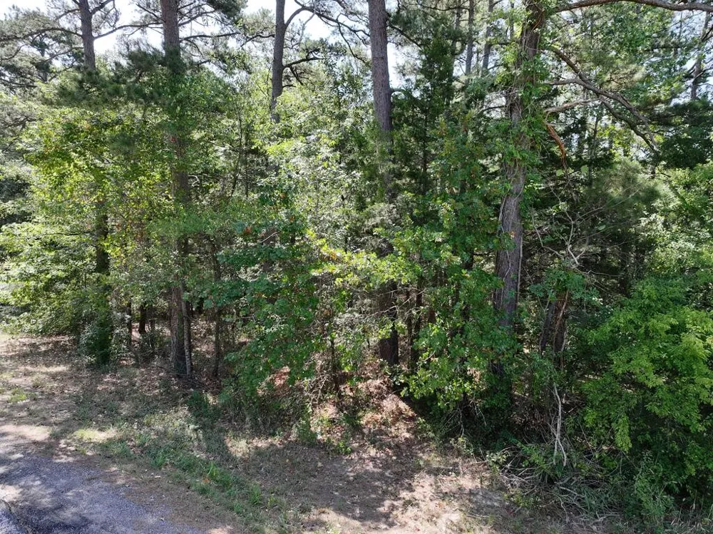 State Highway 154 W Big Sandy, TX 75755
