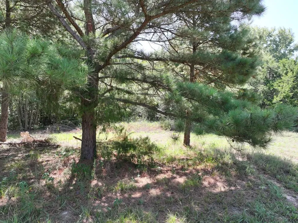 State Highway 154 W Big Sandy, TX 75755