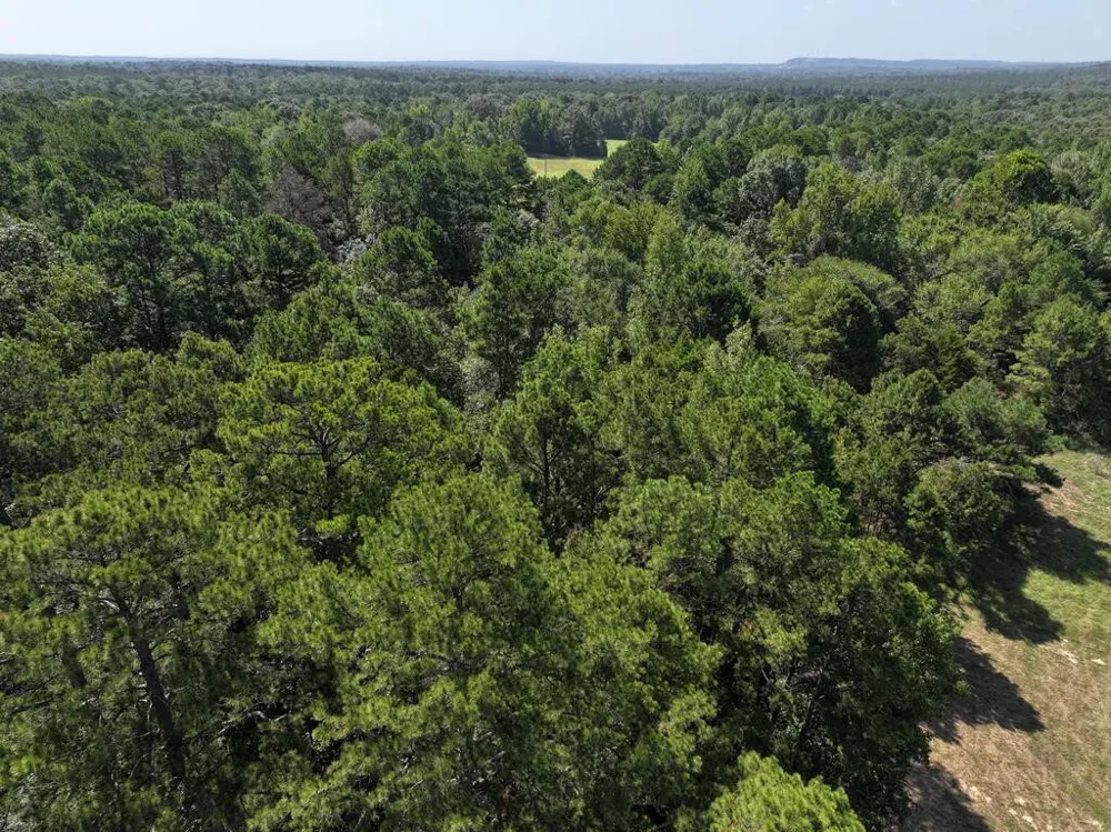 State Highway 154 W Big Sandy, TX 75755