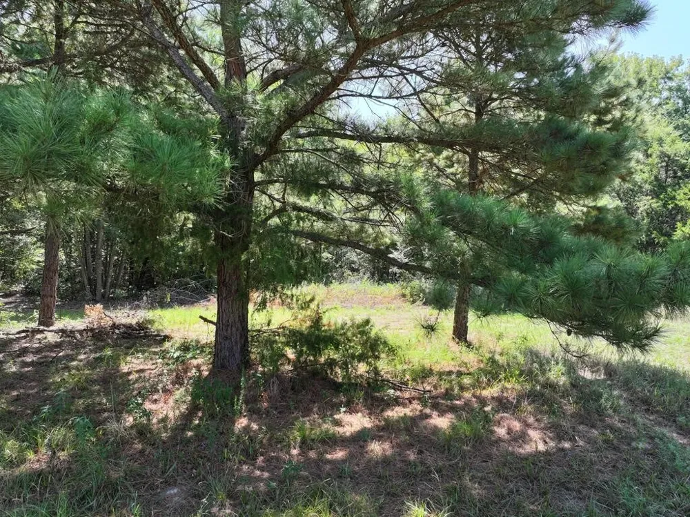 State Highway 154 W Big Sandy, TX 75755