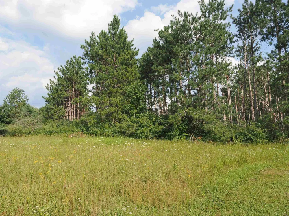 Emig Road Clinton Township, MI 48619