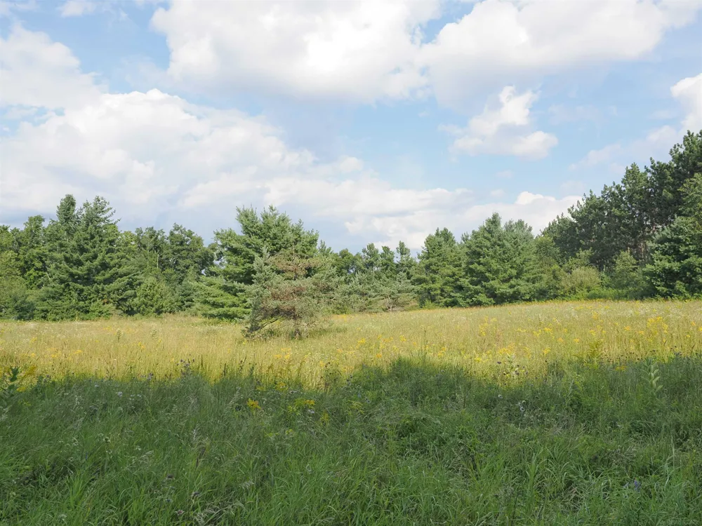 Emig Road Clinton Township, MI 48619