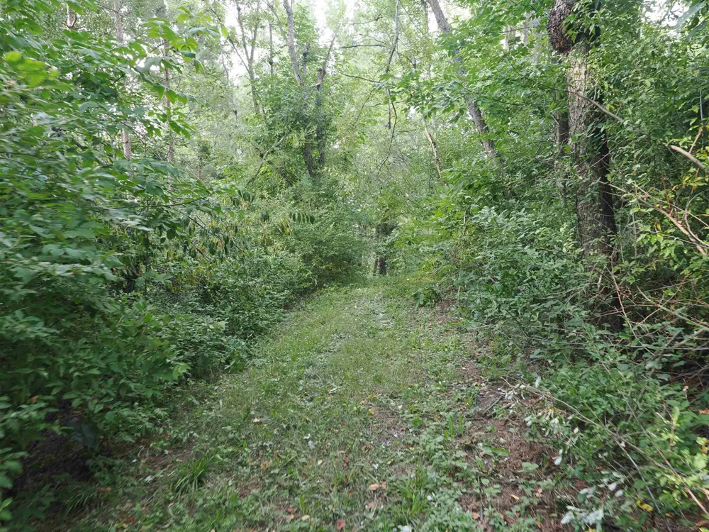 Emig Road Clinton Township, MI 48619