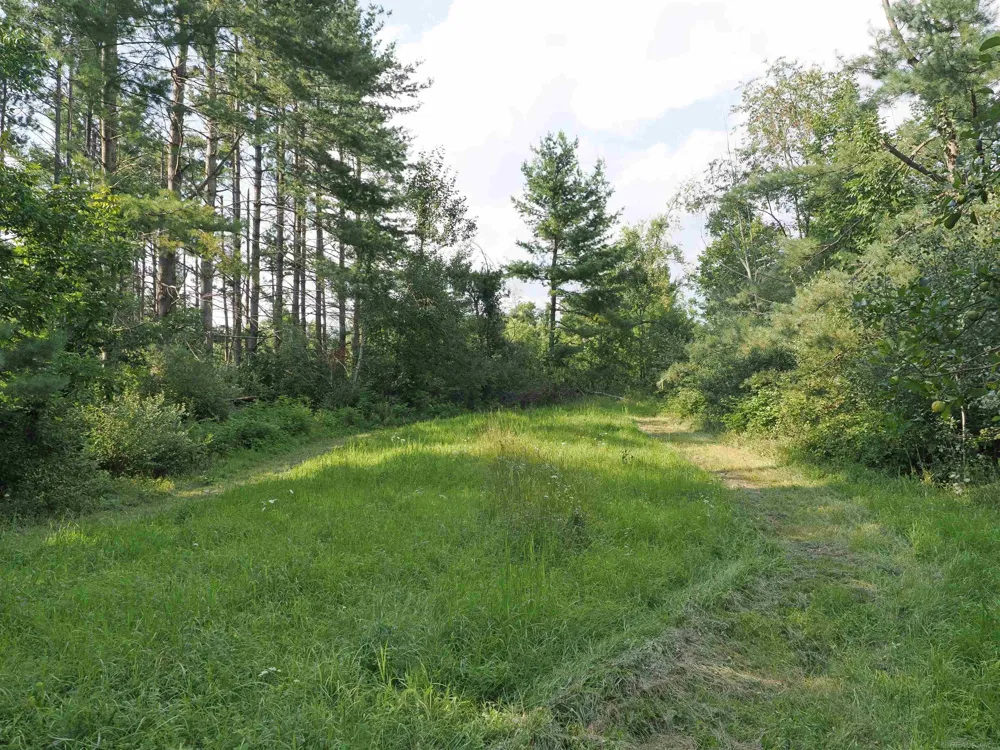 Emig Road Clinton Township, MI 48619