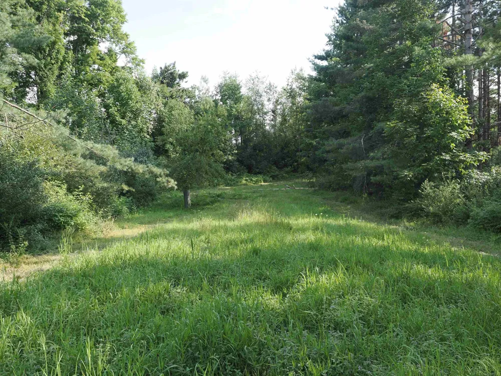 Emig Road Clinton Township, MI 48619