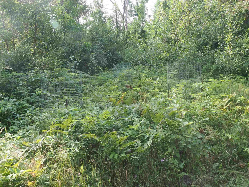 Emig Road Clinton Township, MI 48619