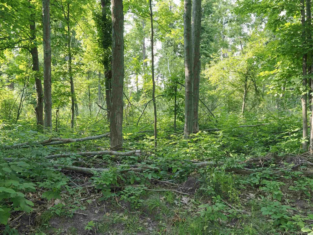 Emig Road Clinton Township, MI 48619