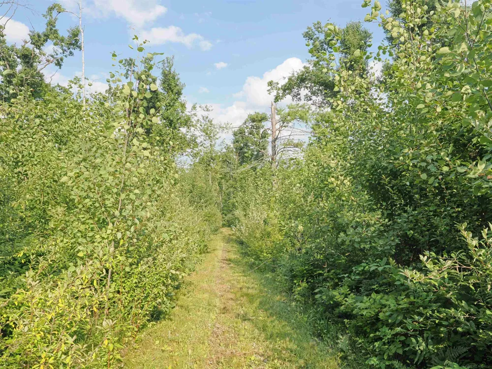 Emig Road Clinton Township, MI 48619