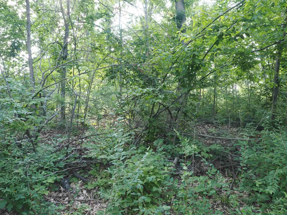 Emig Road Clinton Township, MI 48619