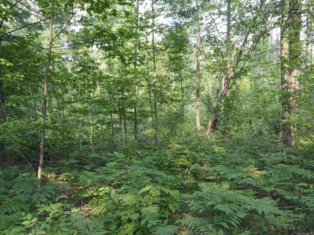 Emig Road Clinton Township, MI 48619