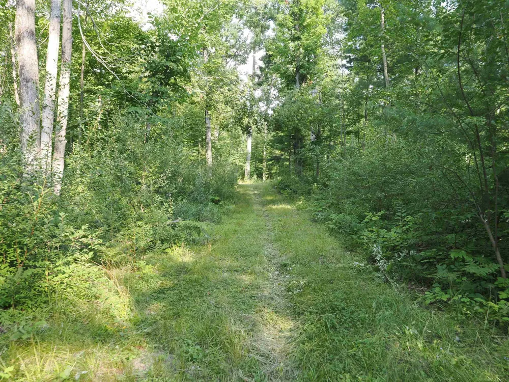 Emig Road Clinton Township, MI 48619
