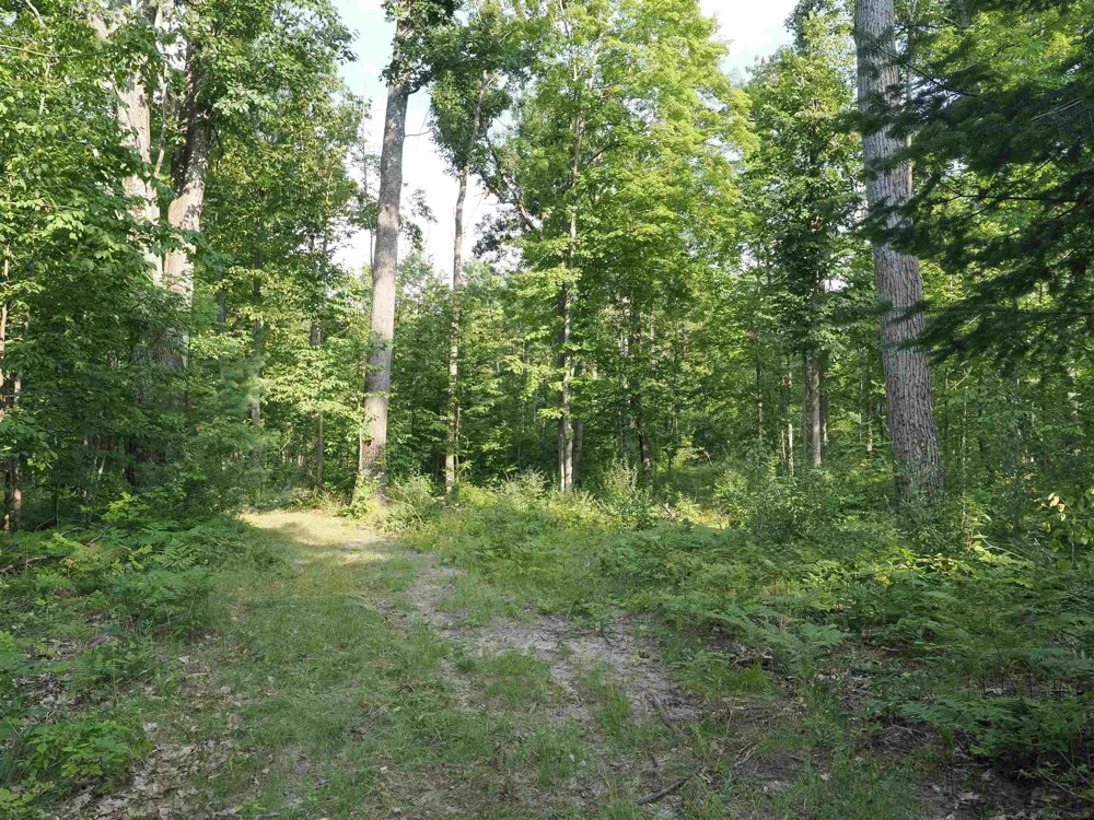 Emig Road Clinton Township, MI 48619