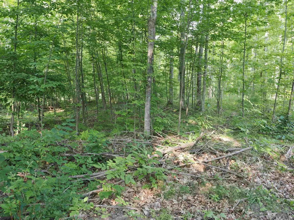 Emig Road Clinton Township, MI 48619