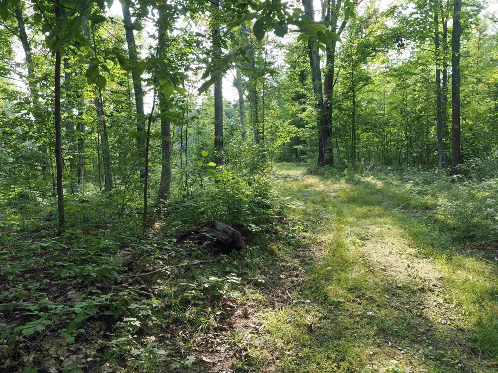 Emig Road Clinton Township, MI 48619