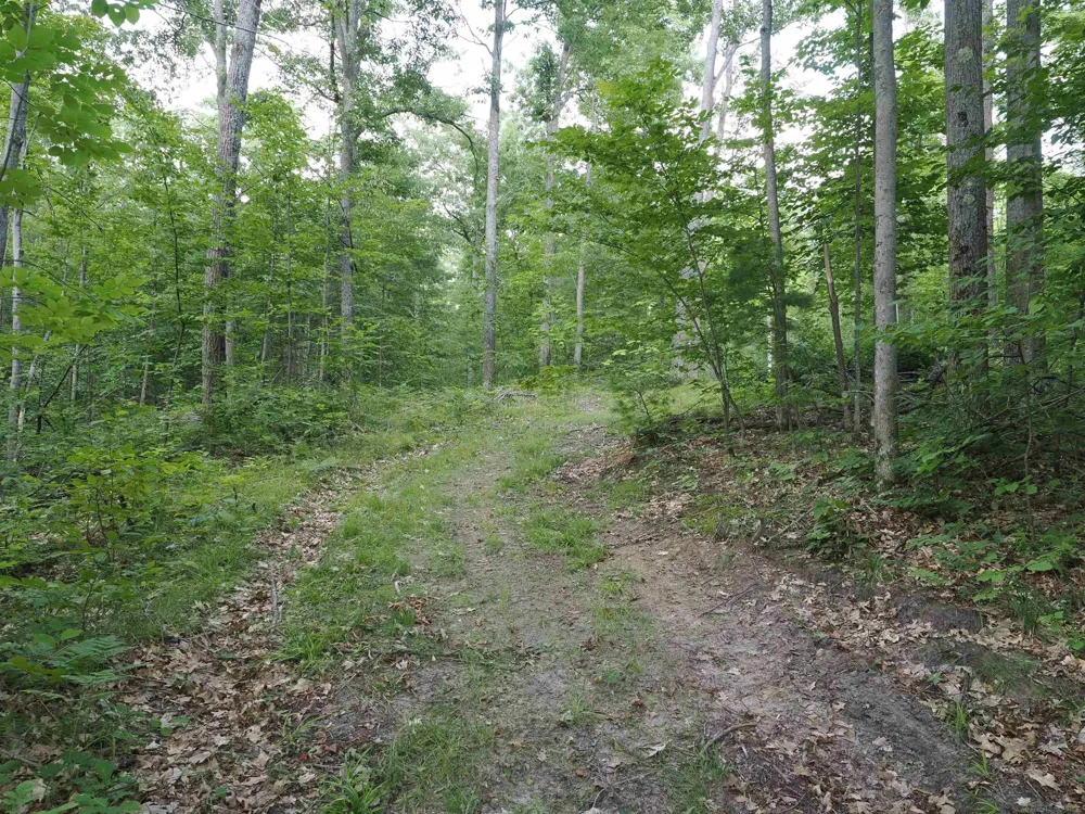 Emig Road Clinton Township, MI 48619