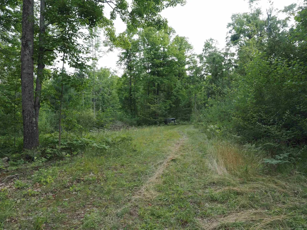 Emig Road Clinton Township, MI 48619