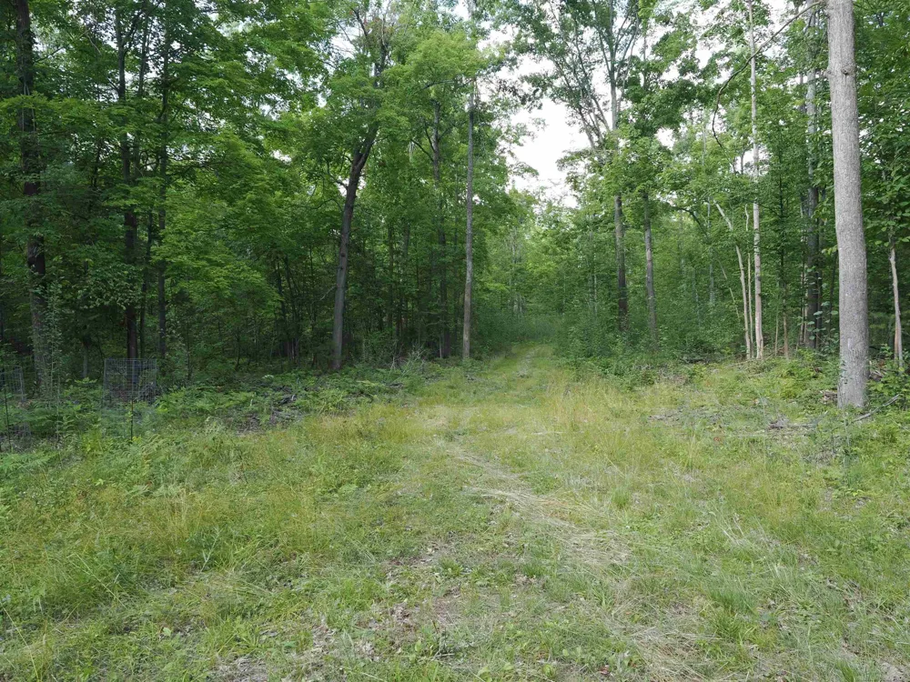 Emig Road Clinton Township, MI 48619
