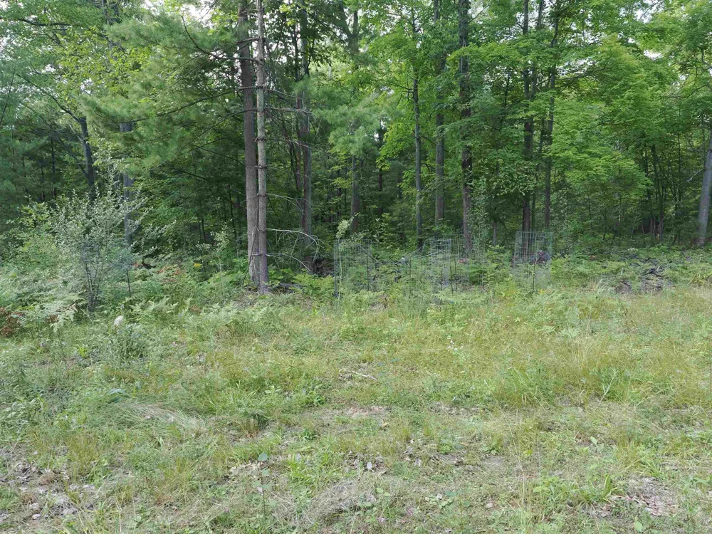 Emig Road Clinton Township, MI 48619