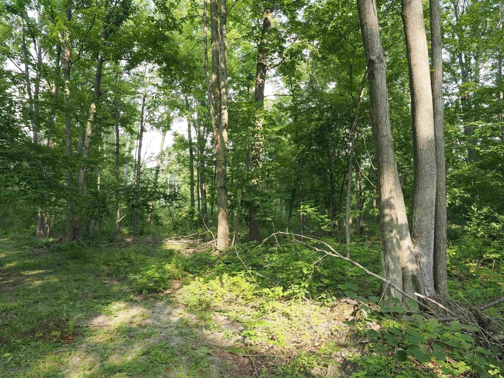 Emig Road Clinton Township, MI 48619