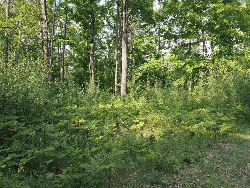 Emig Road Clinton Township, MI 48619