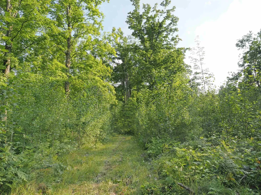 Emig Road Clinton Township, MI 48619