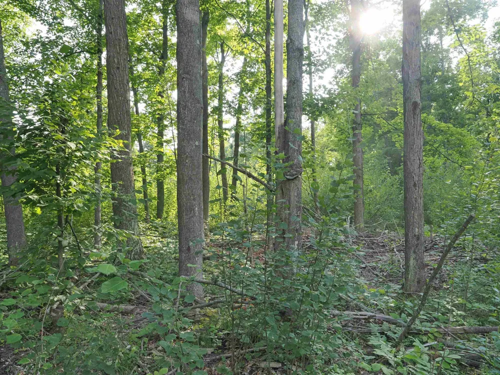 Emig Road Clinton Township, MI 48619