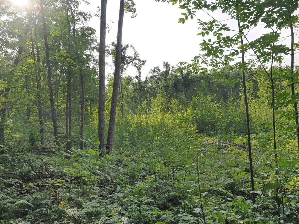 Emig Road Clinton Township, MI 48619