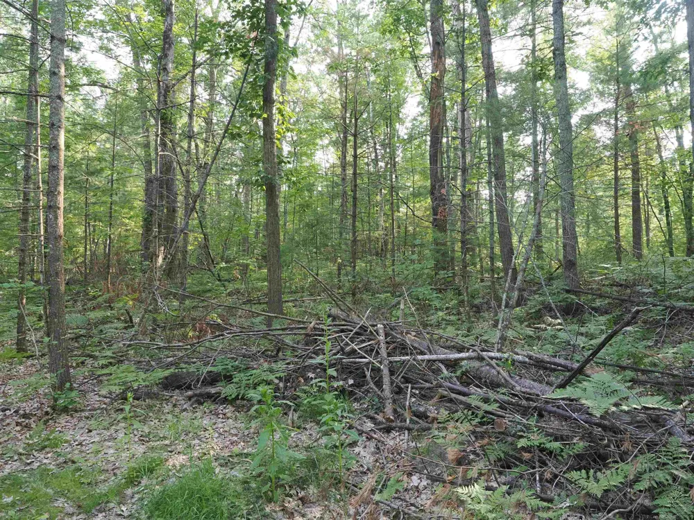 Emig Road Clinton Township, MI 48619