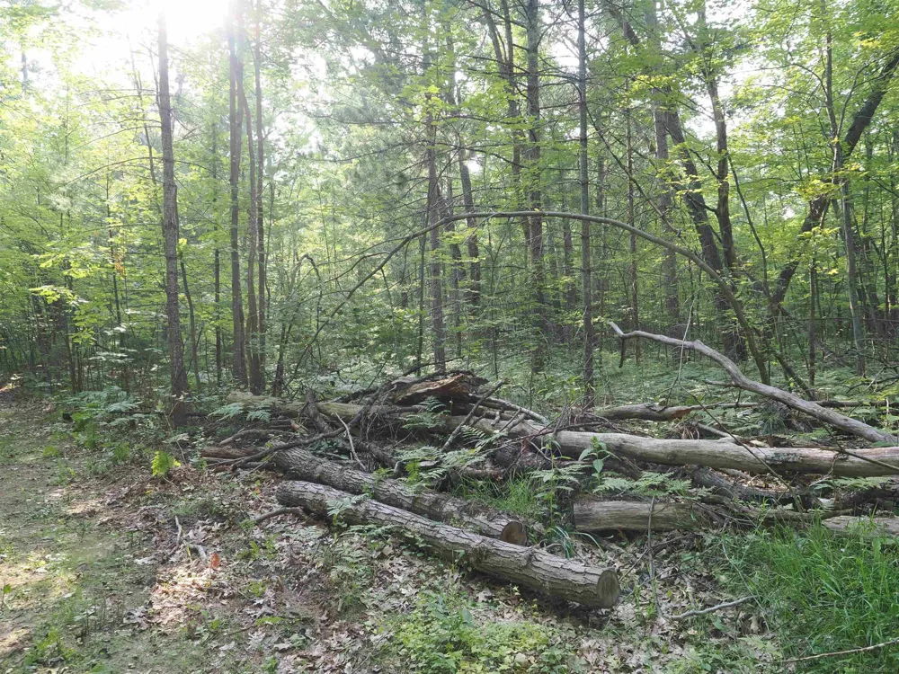 Emig Road Clinton Township, MI 48619