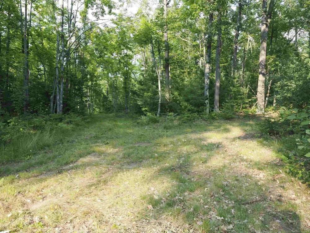 Emig Road Clinton Township, MI 48619