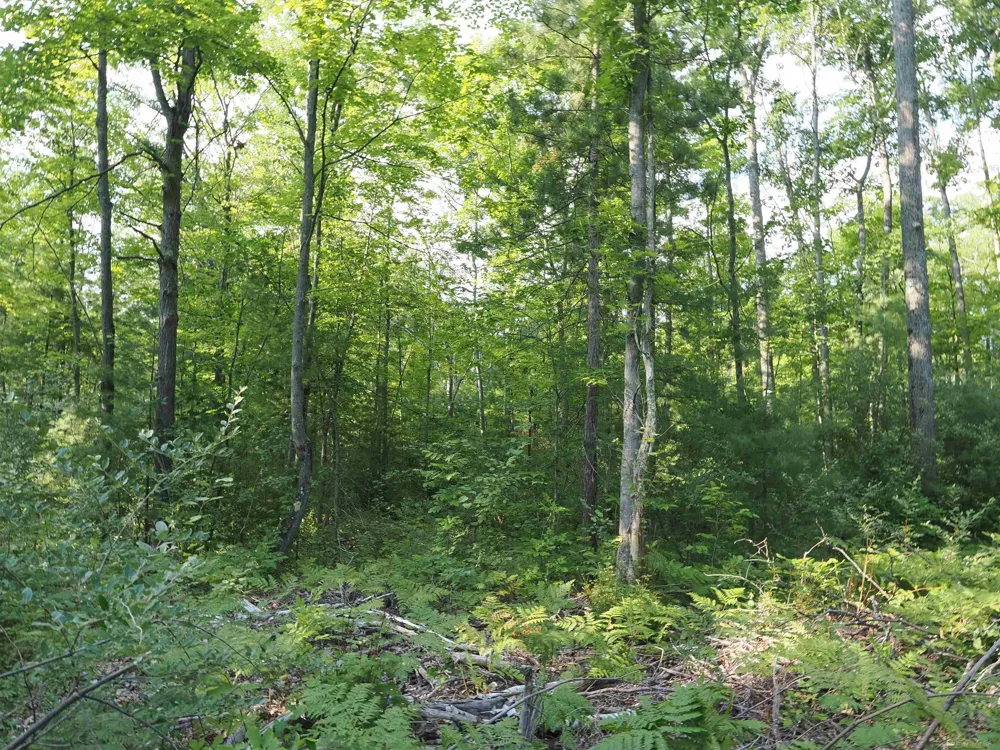 Emig Road Clinton Township, MI 48619