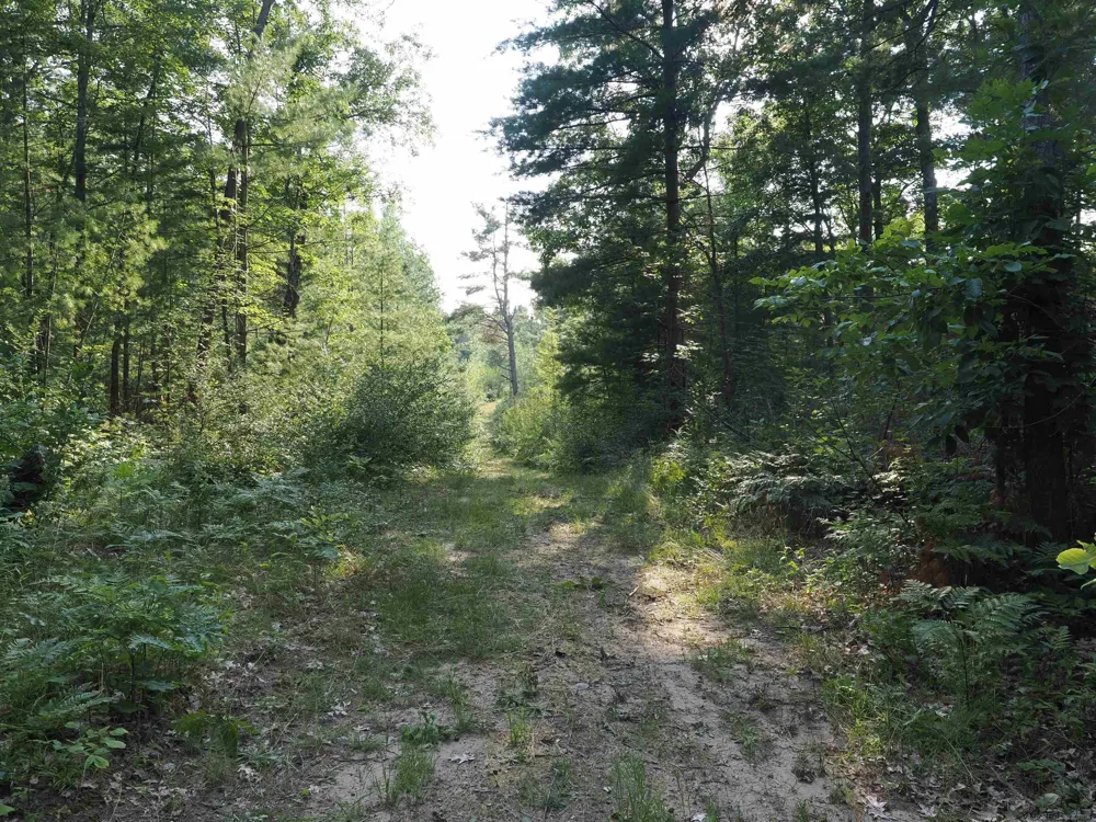 Emig Road Clinton Township, MI 48619