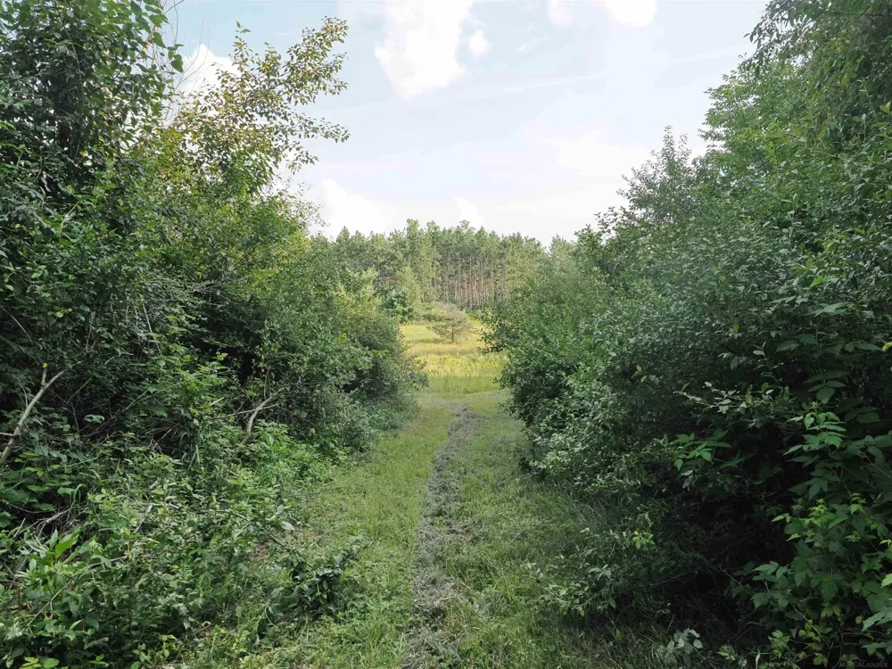 Emig Road Clinton Township, MI 48619