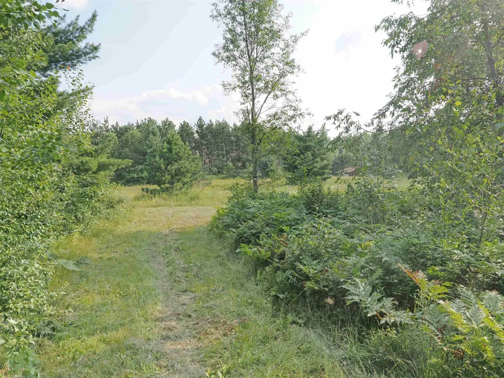 Emig Road Clinton Township, MI 48619
