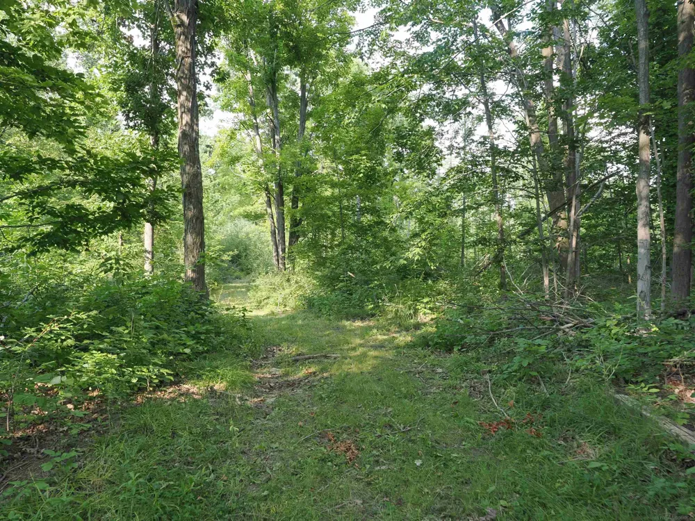 Emig Road Clinton Township, MI 48619