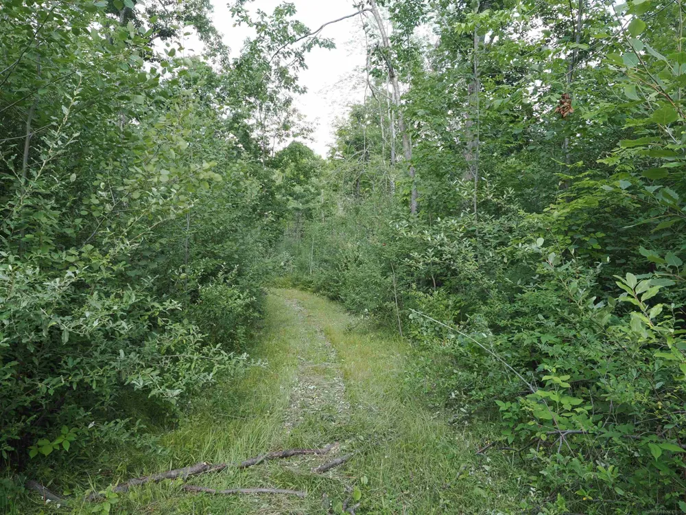Emig Road Clinton Township, MI 48619