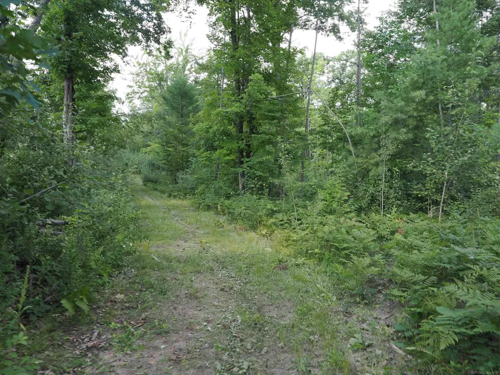 Emig Road Clinton Township, MI 48619