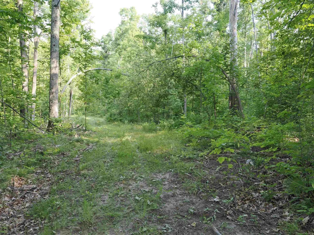 Emig Road Clinton Township, MI 48619