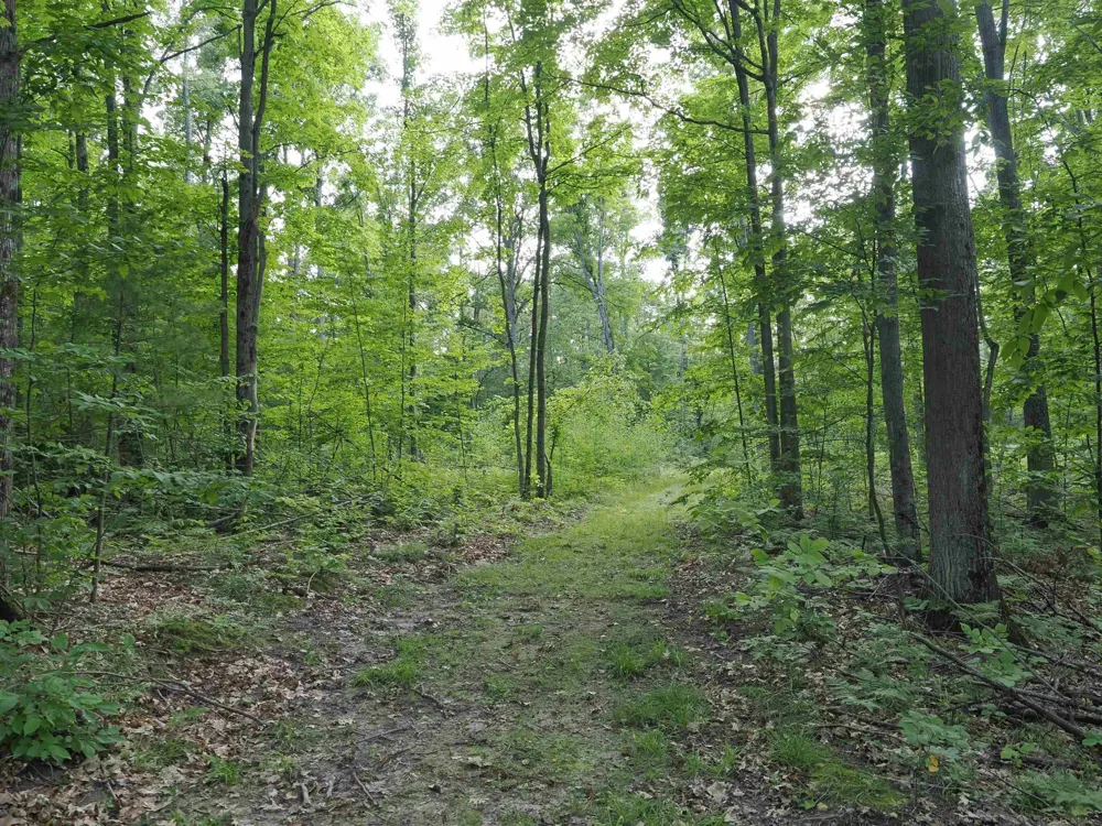 Emig Road Clinton Township, MI 48619