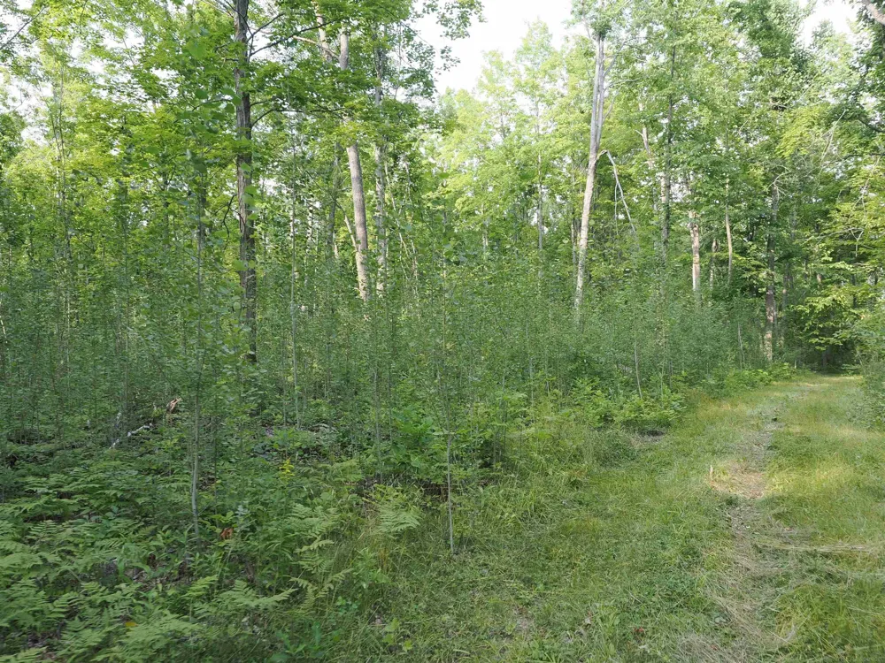 Emig Road Clinton Township, MI 48619