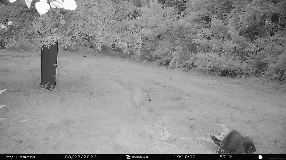 Emig Road Clinton Township, MI 48619