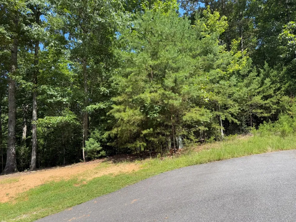 Lot 106 Asheland Cove Young Harris, GA 30582