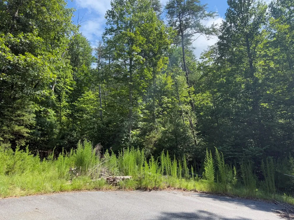 Lot 106 Asheland Cove Young Harris, GA 30582