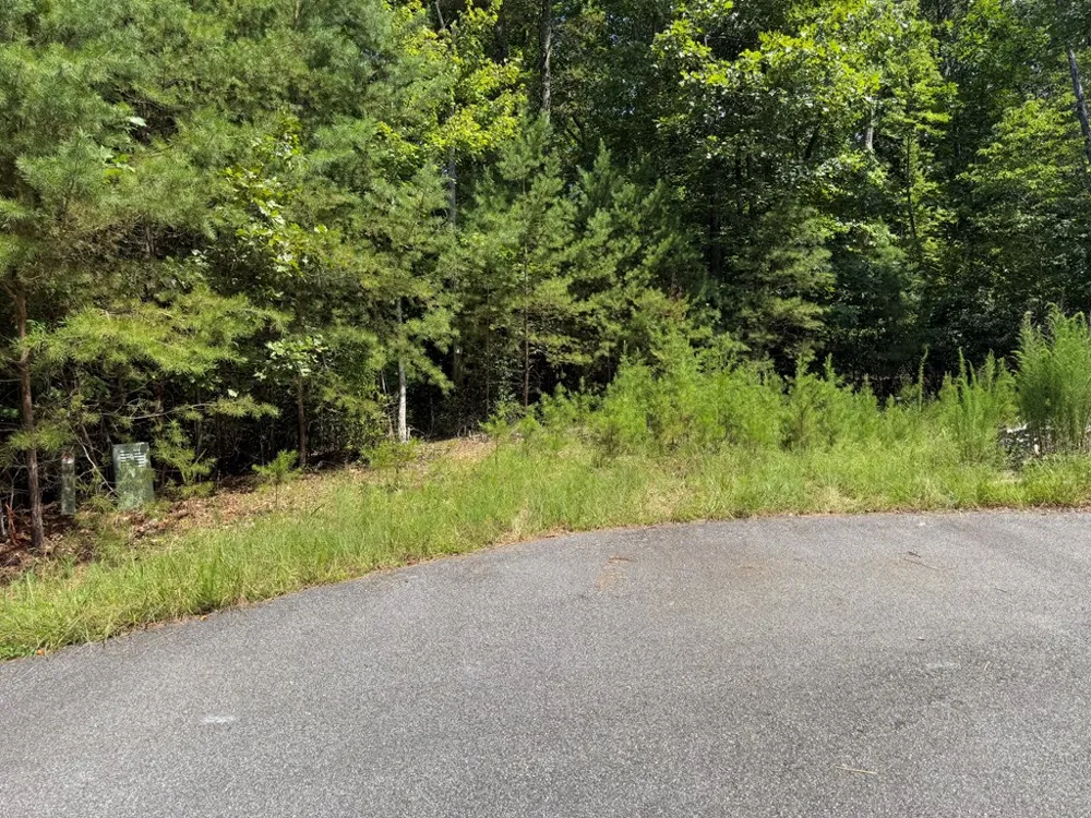 Lot 106 Asheland Cove Young Harris, GA 30582