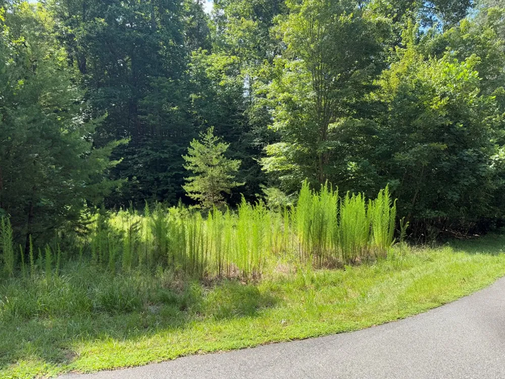 Lot 106 Asheland Cove Young Harris, GA 30582